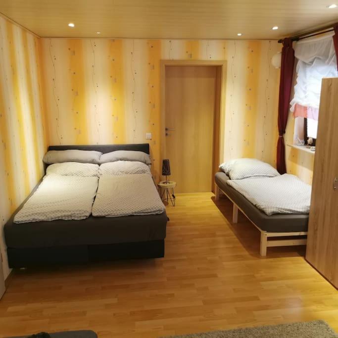 Albrecht Direkt Am Diemelsteig * Diemelsee