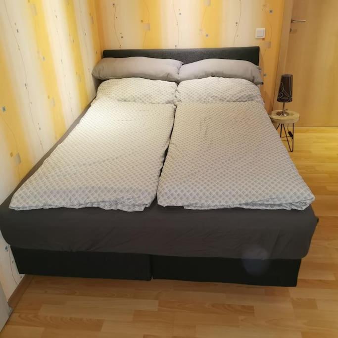 Albrecht Direkt Am Diemelsteig Apartment